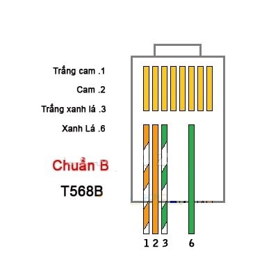 HƯỚNG DẪN BẤM DÂY MẠNG 4 SỢI TRONG THI CÔNG MẠNG LAN